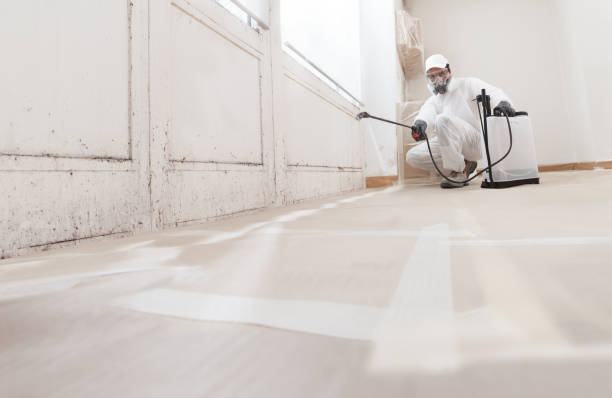 24/7 Emergency Mold Removal experts in Glencoe, IL
